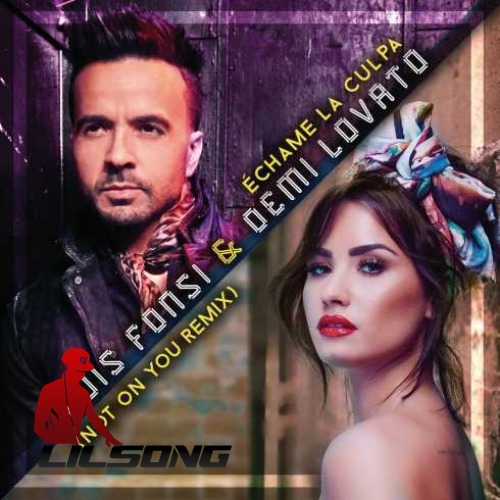 Luis Fonsi Ft. Demi Lovato - Echame La Culpa (Not On You Remix)